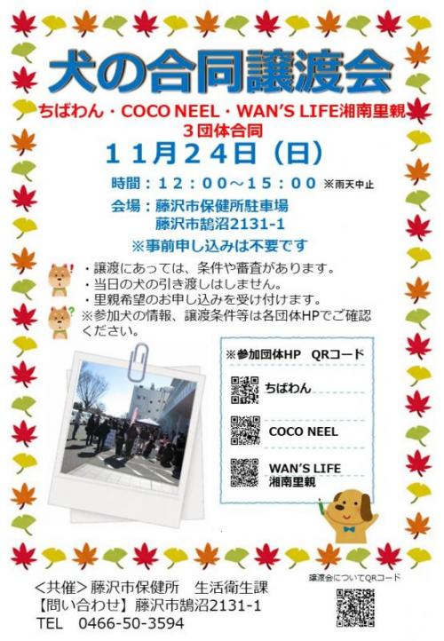 犬の譲渡会